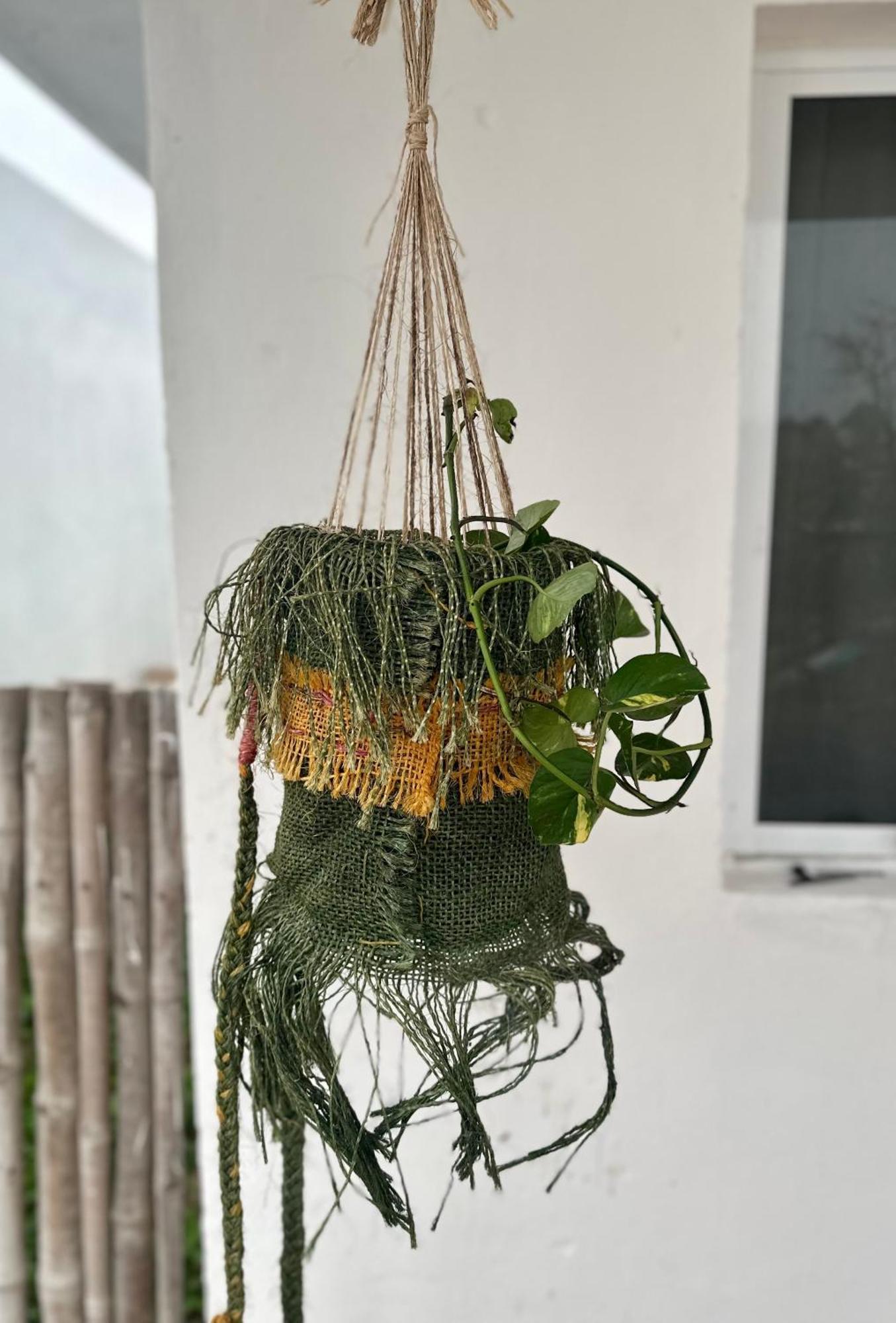Uculila Sisal